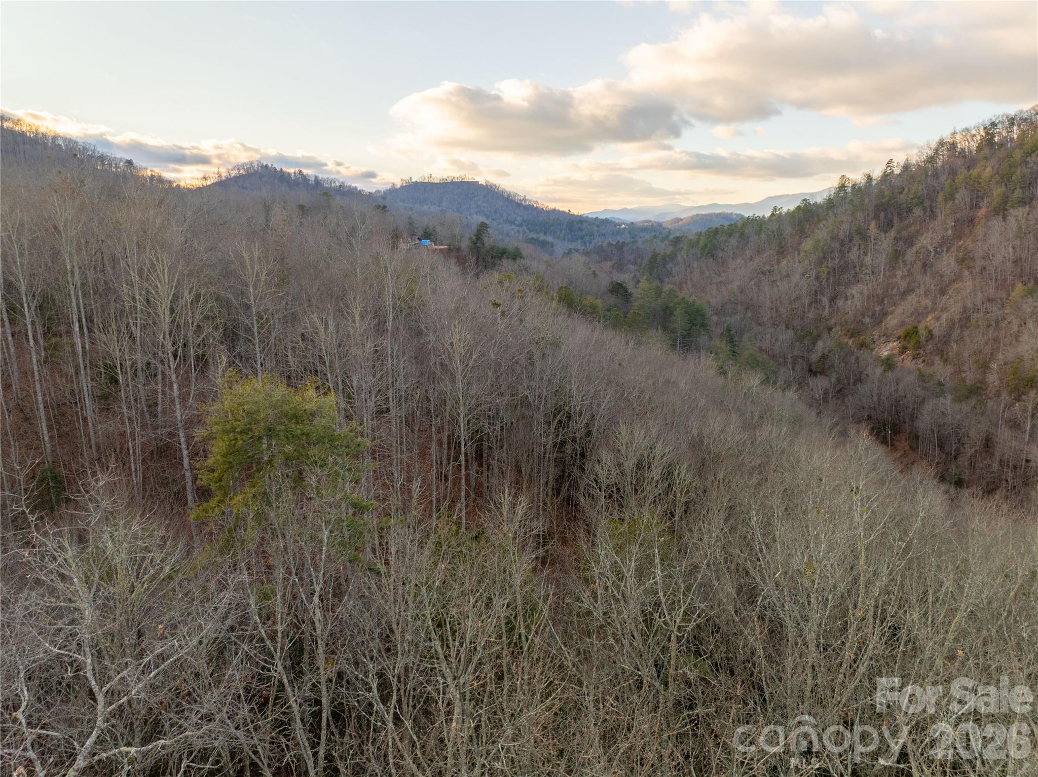 9180 Lower Alarka Road Property Photo 3
