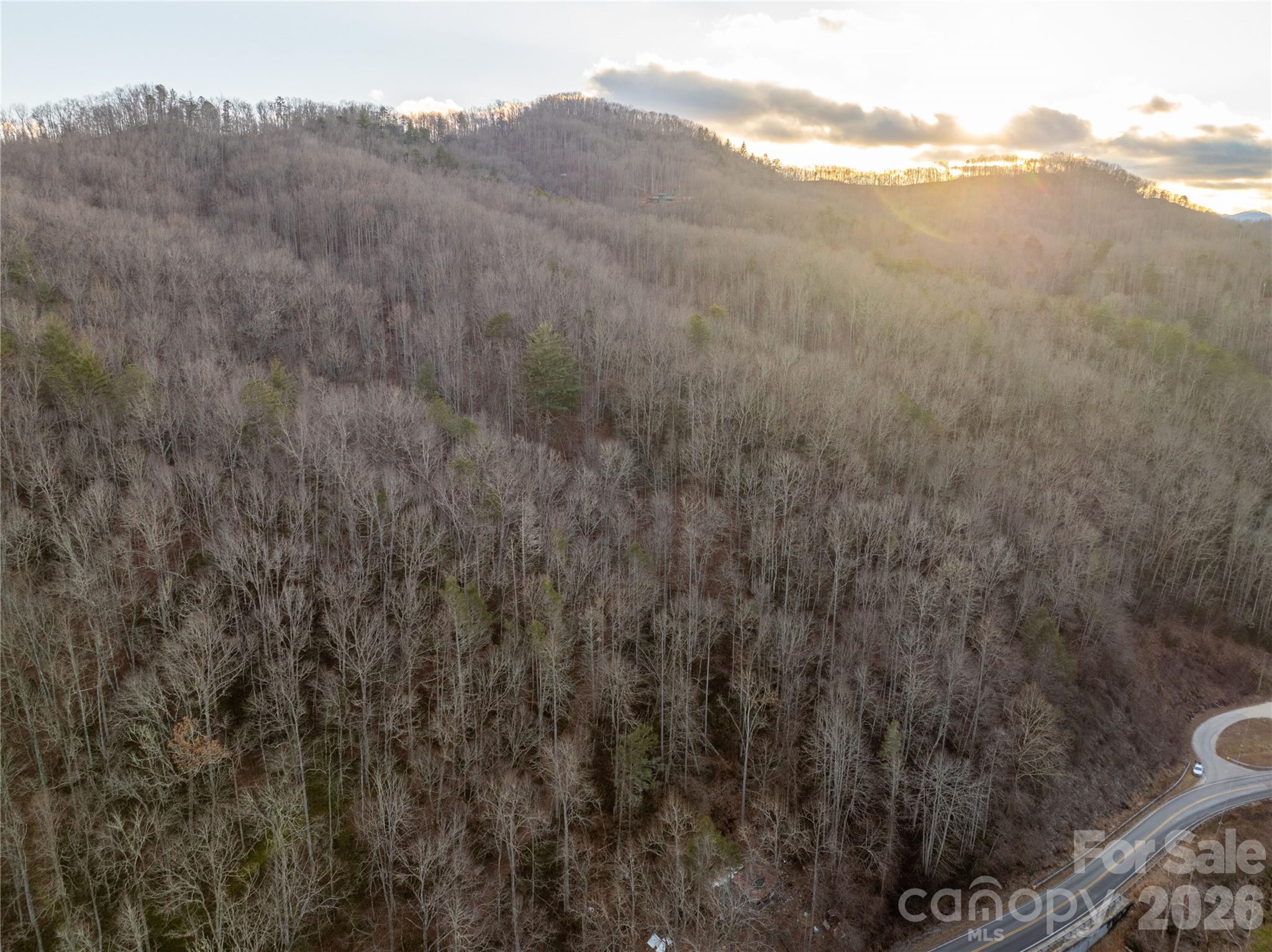 9180 Lower Alarka Road Property Photo 4