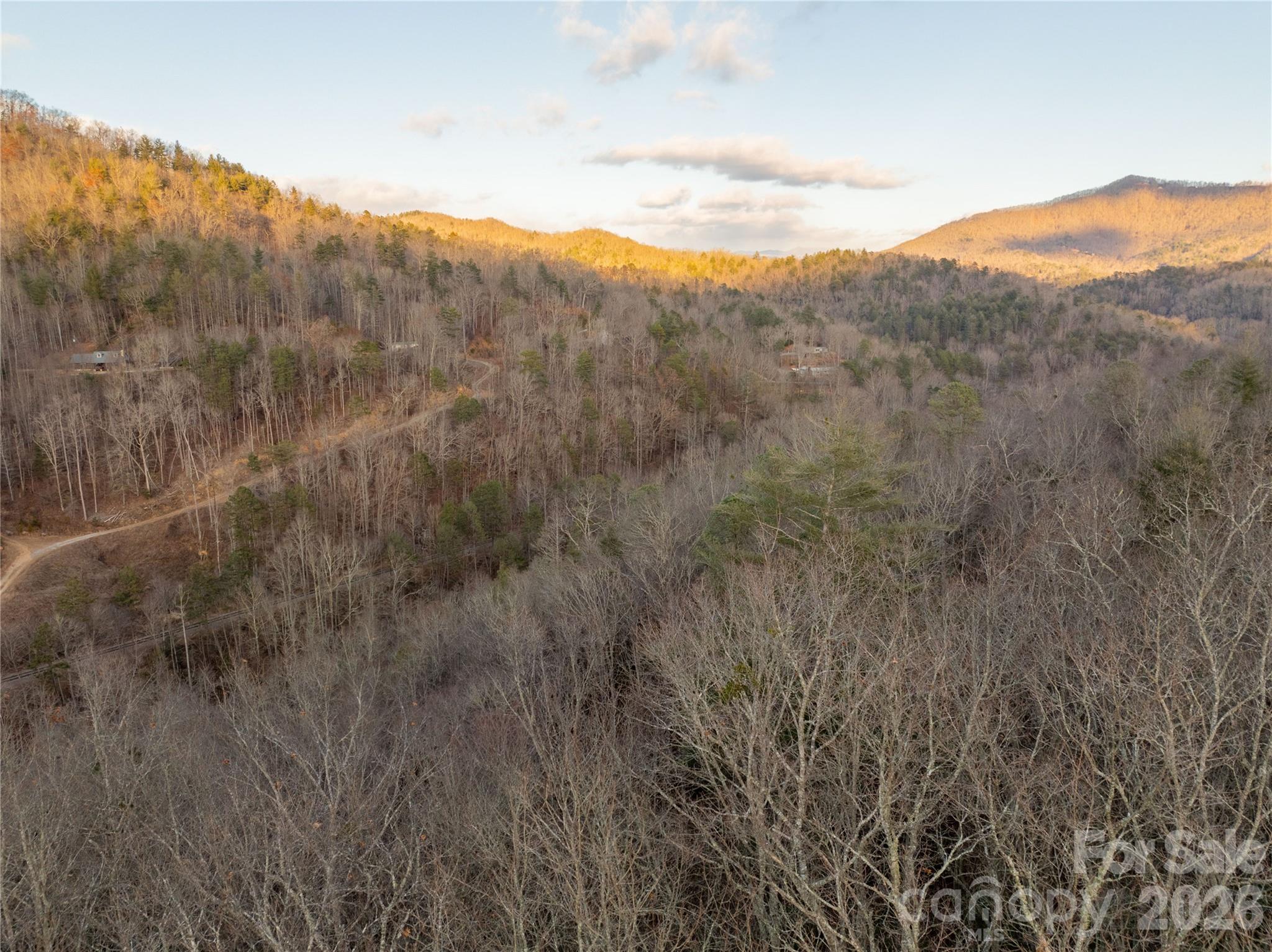 9180 Lower Alarka Road Property Photo 6