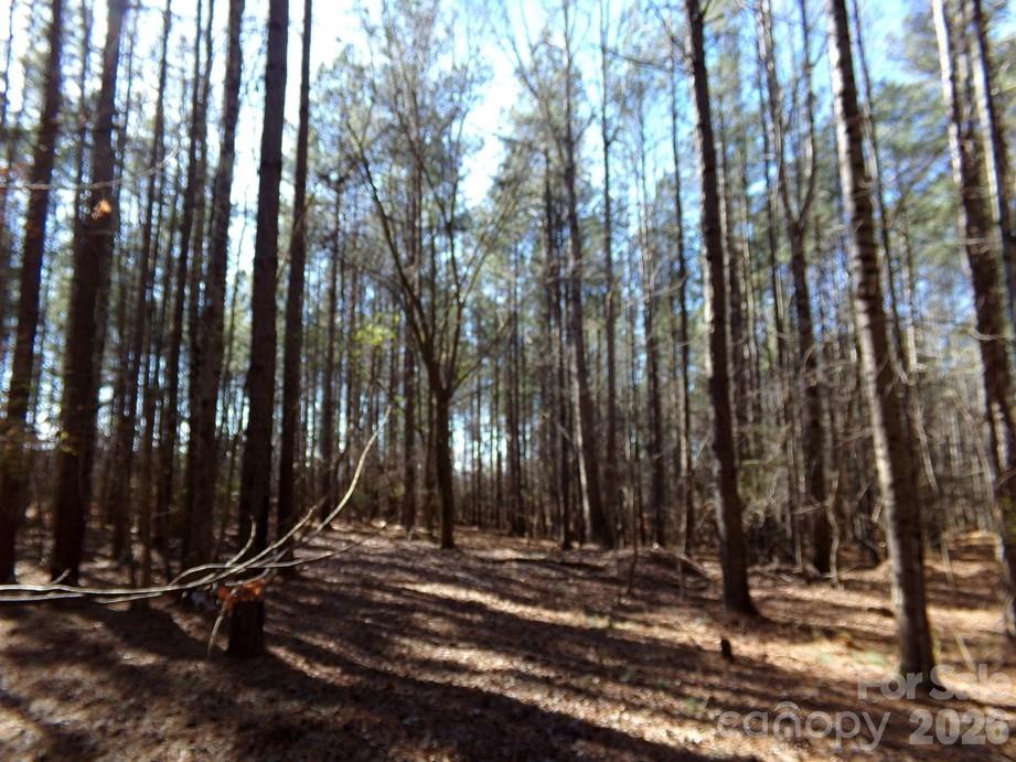 42 Ac Hwy 55 Highway Property Photo 3