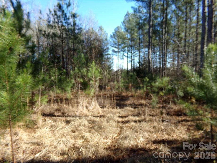 42 Ac Hwy 55 Highway Property Photo 5