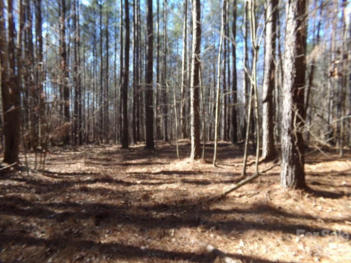 42 Ac Hwy 55 Highway Property Photo 6