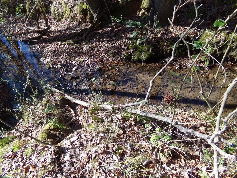 42 Ac Hwy 55 Highway Property Photo 8