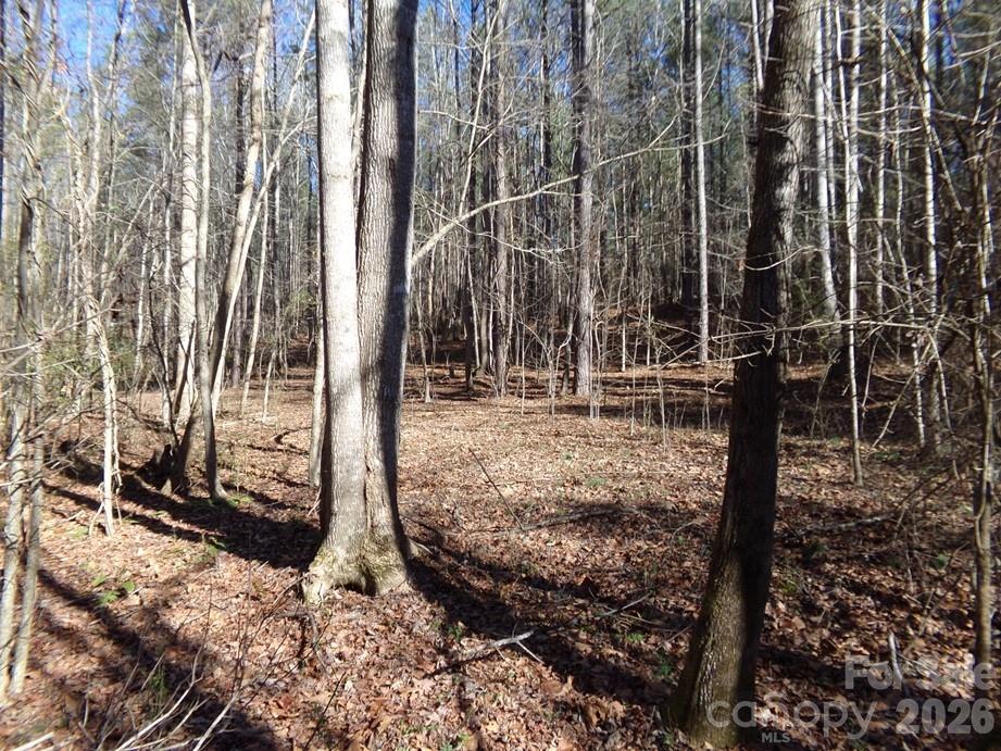 42 Ac Hwy 55 Highway Property Photo 9