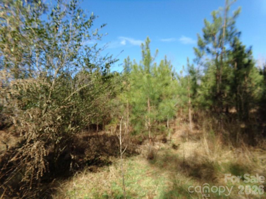 42 Ac Hwy 55 Highway Property Photo 11