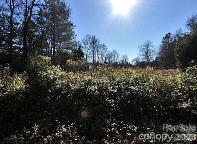 5009 Camp Stewart Road Property Photo 2