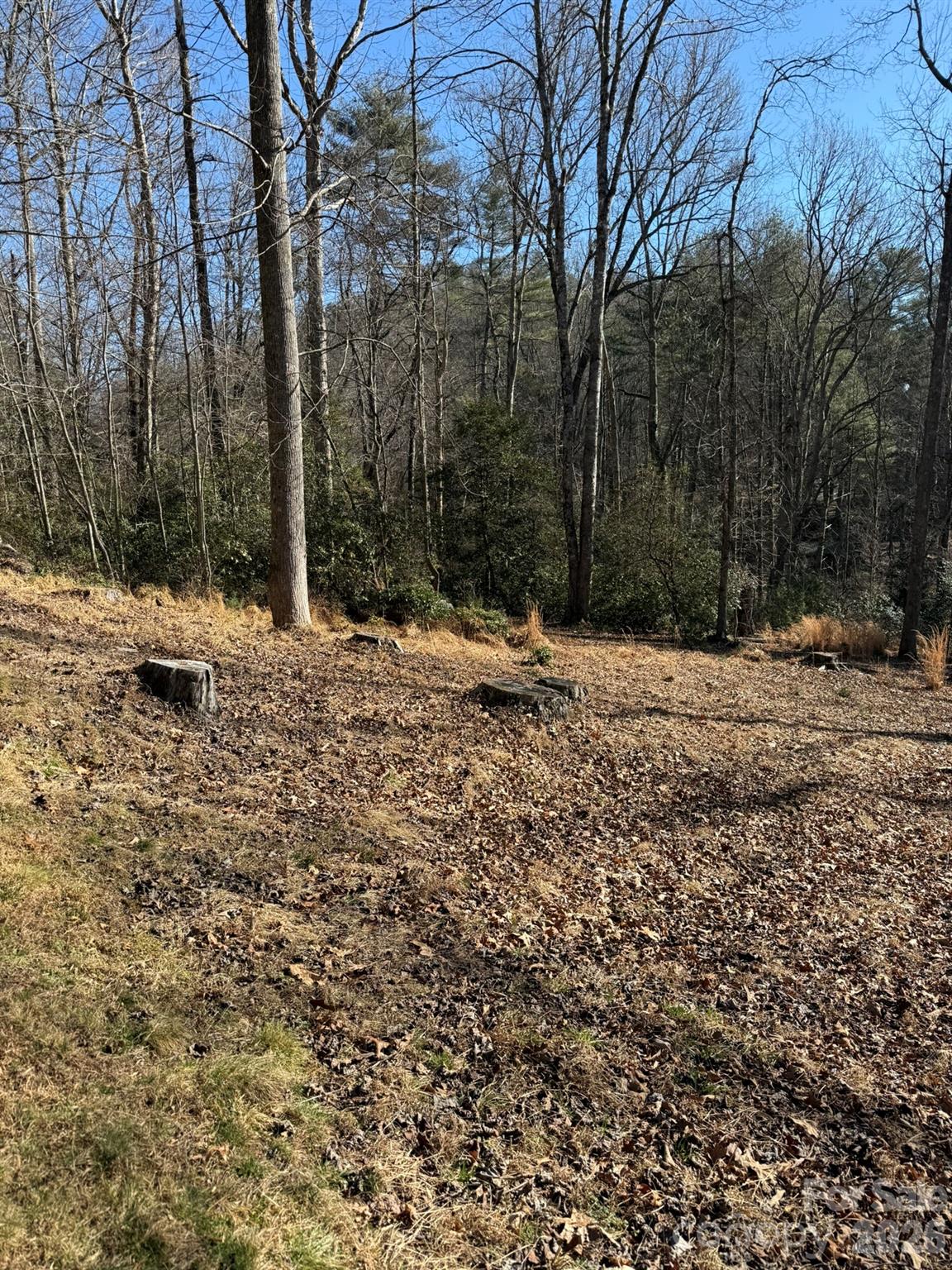 9999 Rockbrook Overlook 13 Property Photo 1