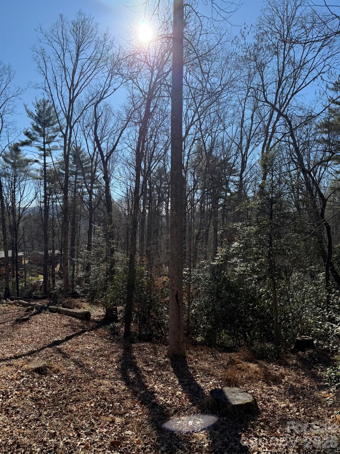9999 Rockbrook Overlook 13 Property Photo 2