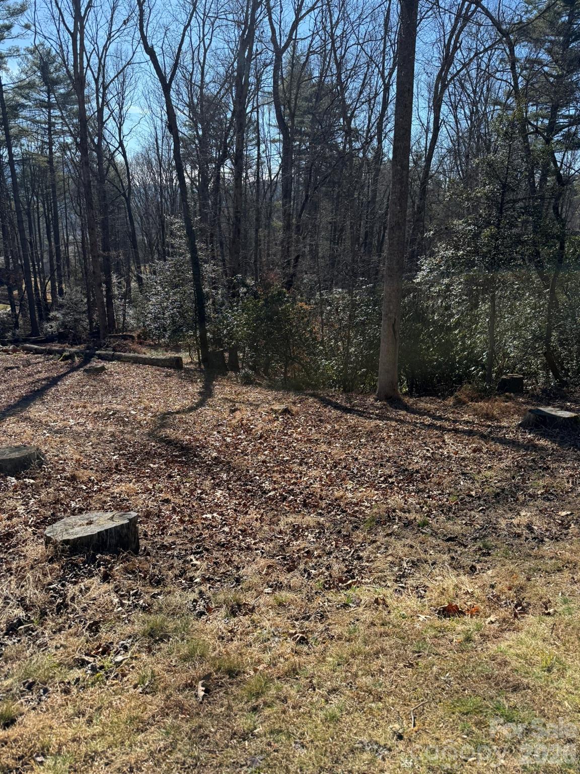 9999 Rockbrook Overlook 13 Property Photo 3