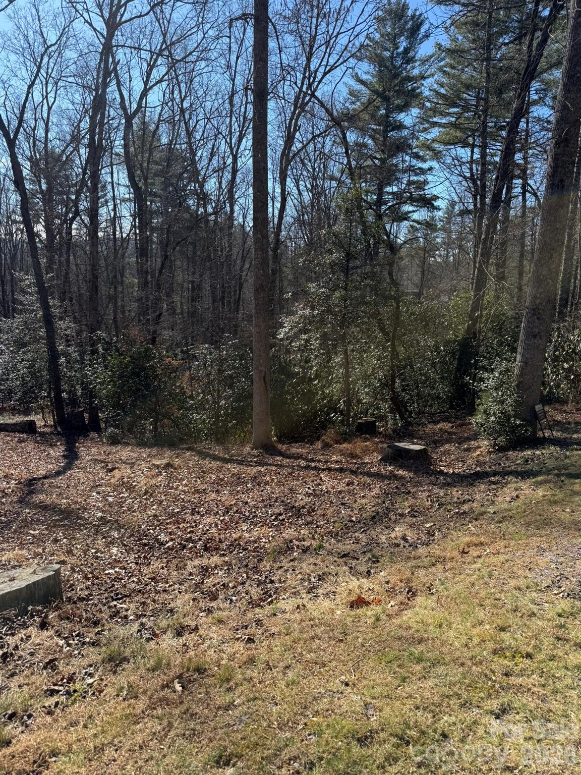 9999 Rockbrook Overlook 13 Property Photo 4