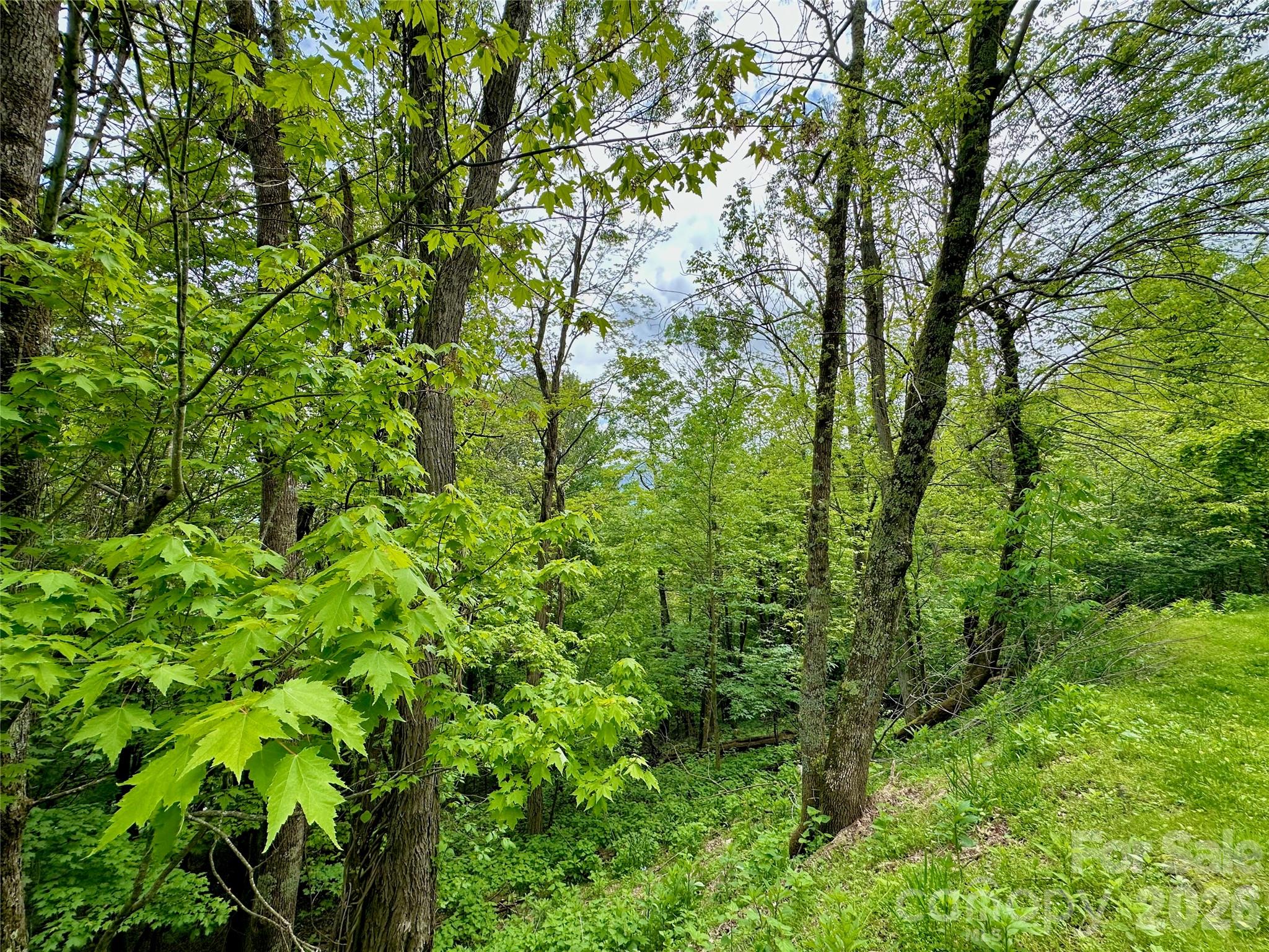 Tbd Alpine Drive Property Photo 3