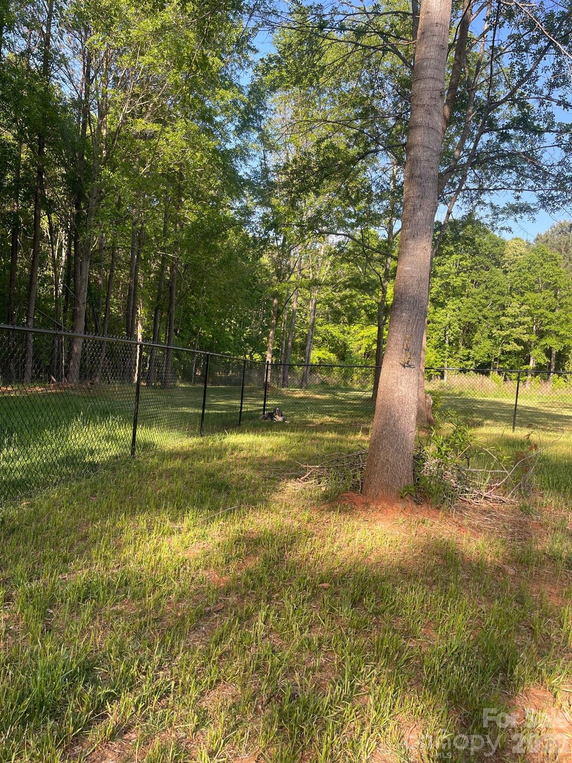 103 Falls Street Property Photo 28