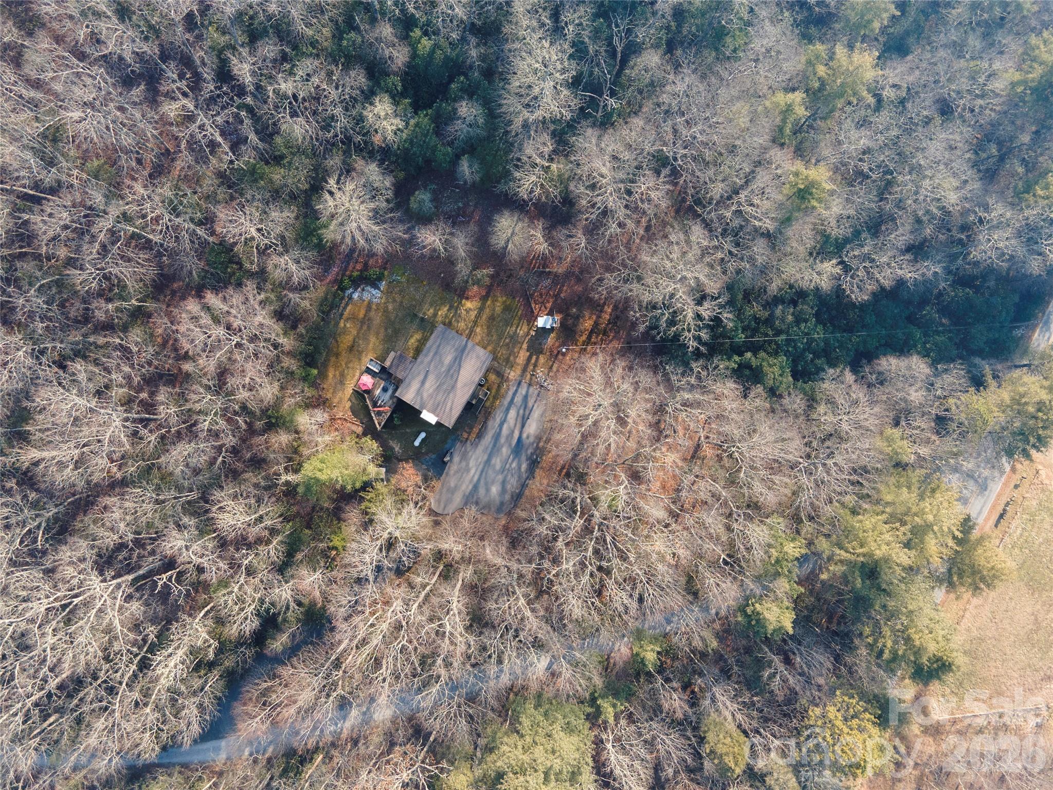 84 Forest Trail Property Photo 44