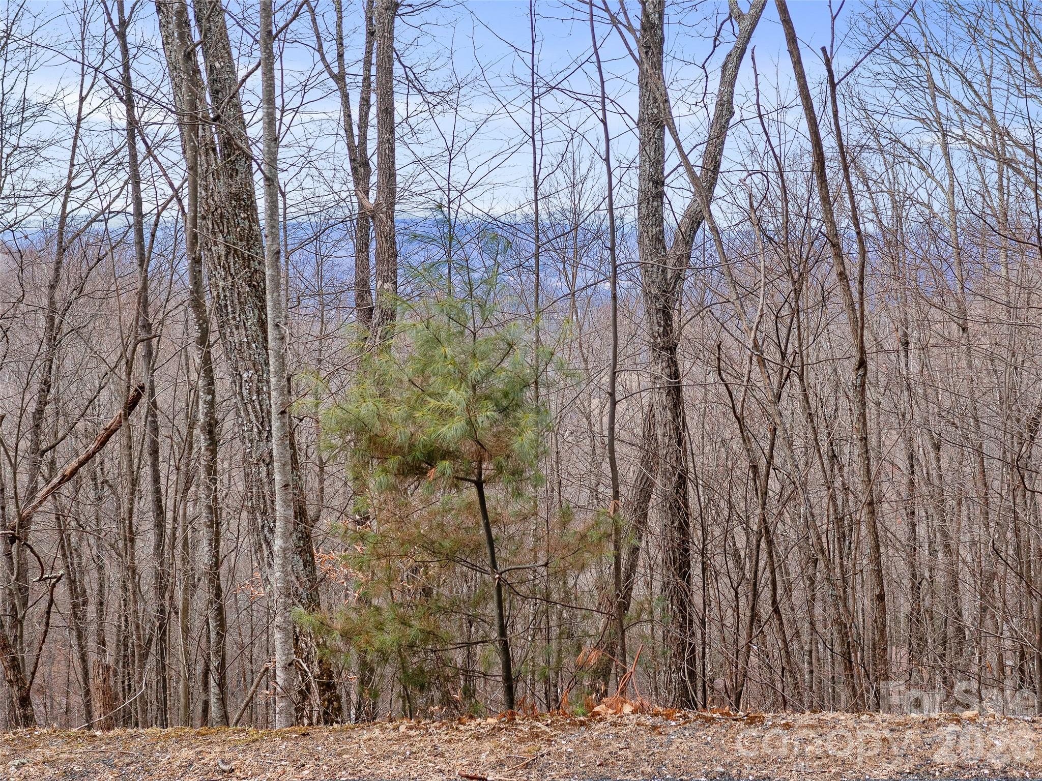 Lot 4 Heritage Ridge Loop Property Photo 4