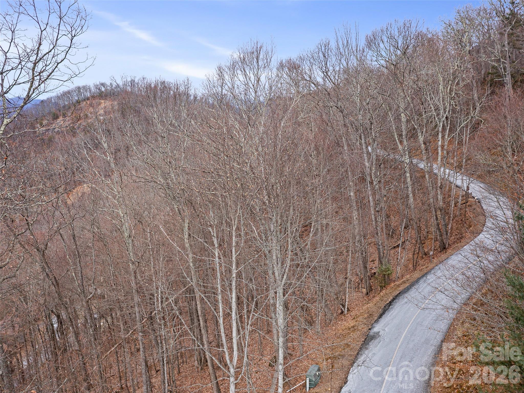 Lot 4 Heritage Ridge Loop Property Photo 7