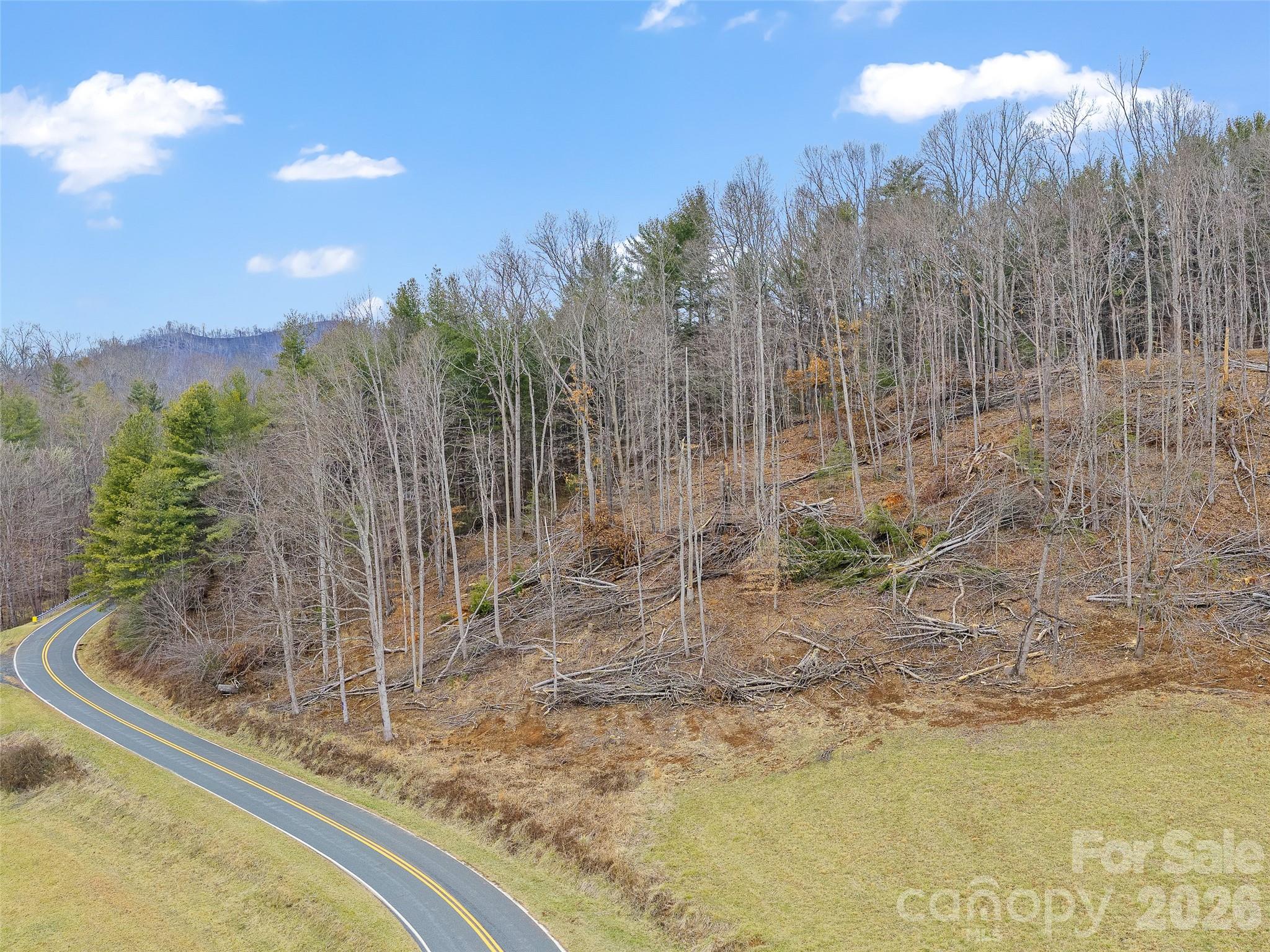 784 Green Young Cemetery Road Property Photo 19