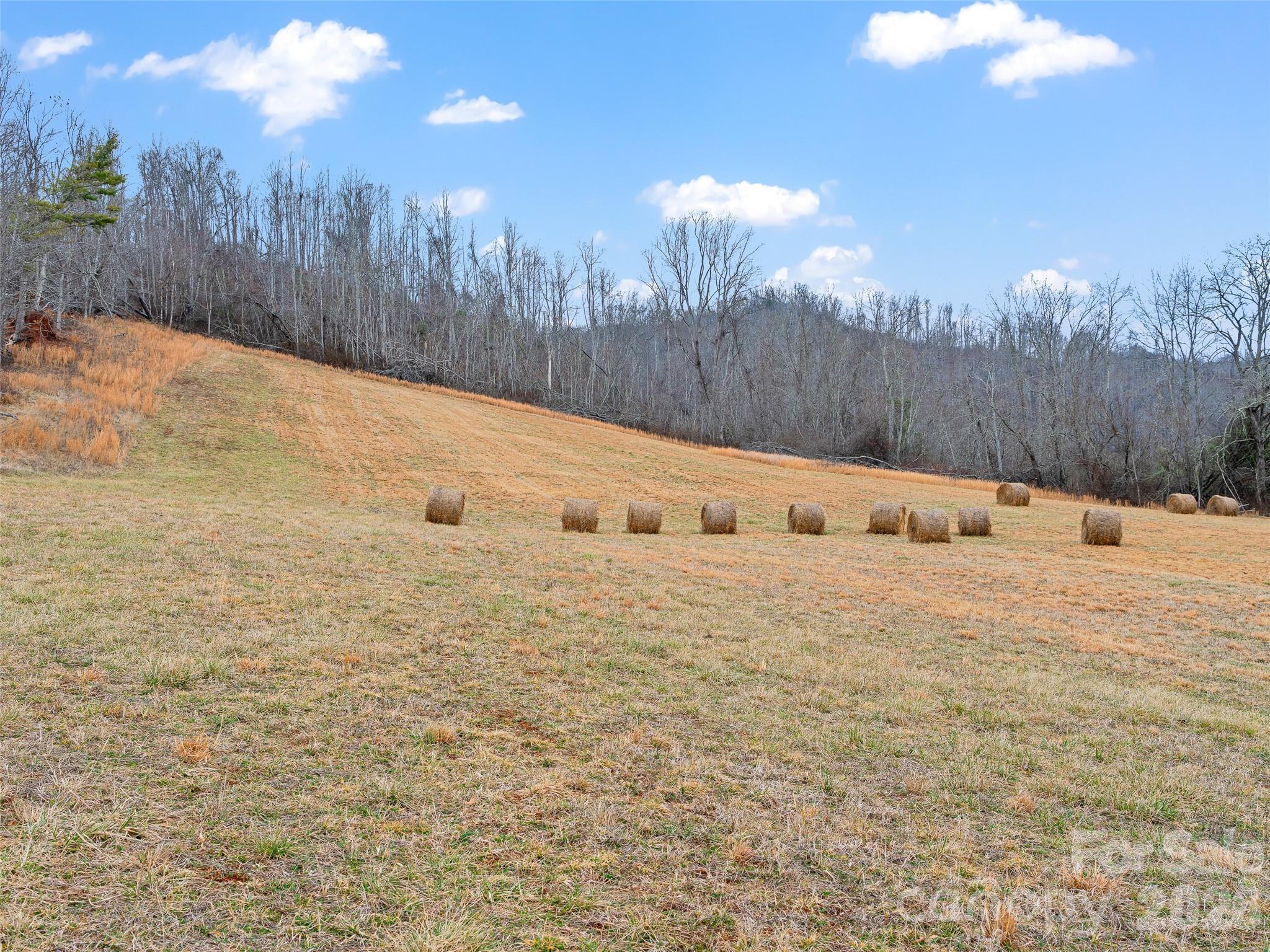 784 Green Young Cemetery Road Property Photo 31