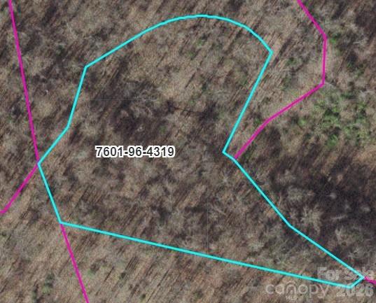 Tr I Barkers Creek Road Property Photo 1