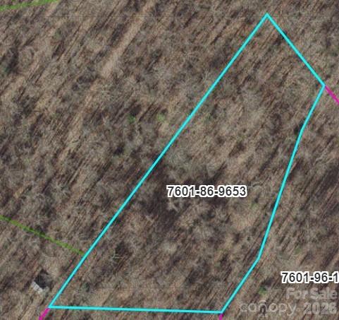 Tr C Barkers Creek Road Property Photo 1