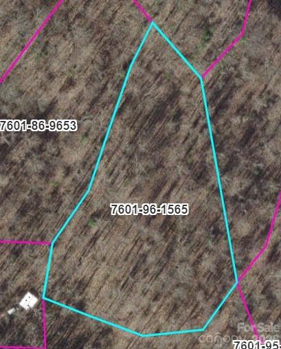 Tr B Barkers Creek Road Property Photo 1