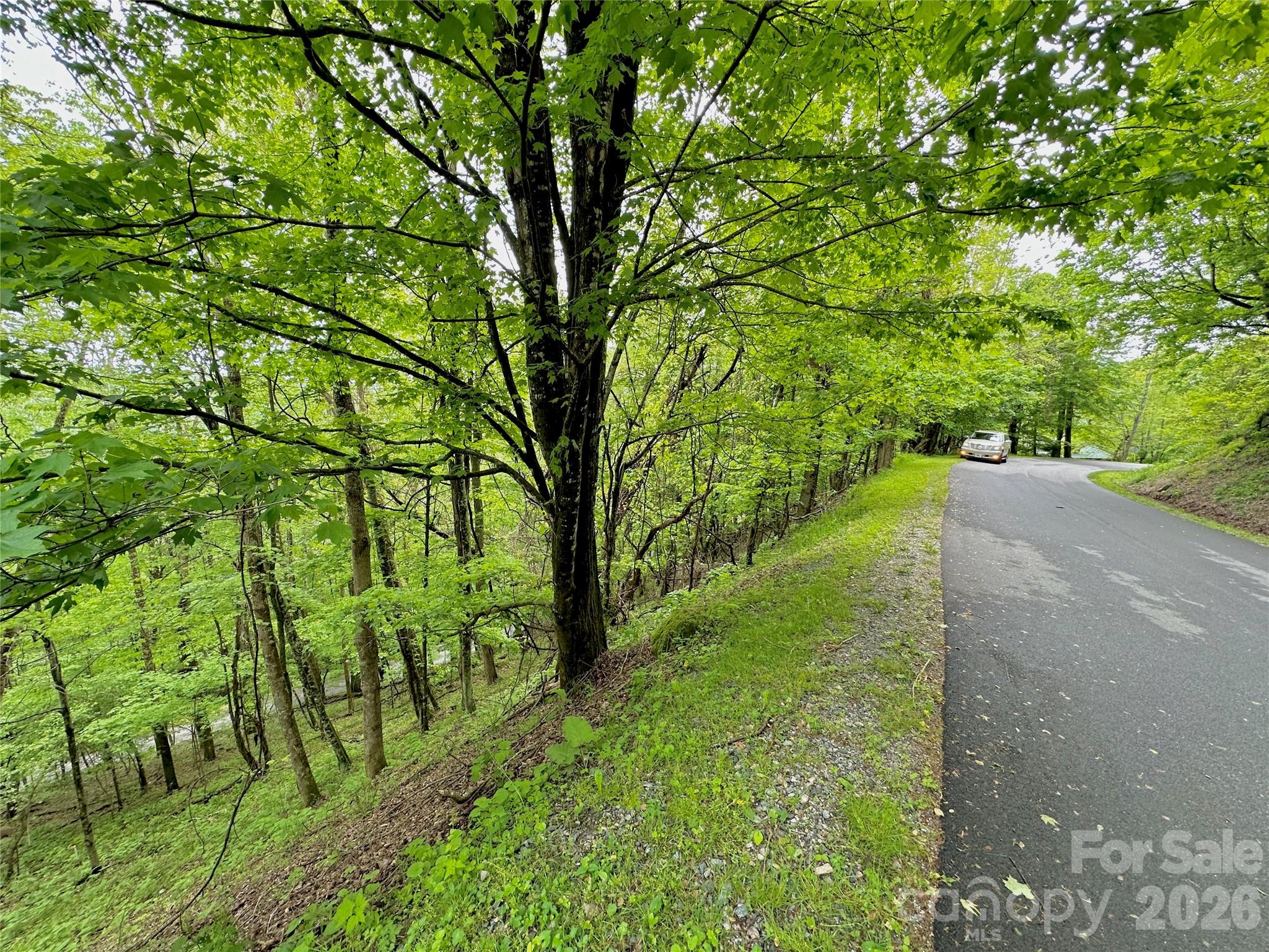 Tbd Alpine Drive 33 Property Photo 2
