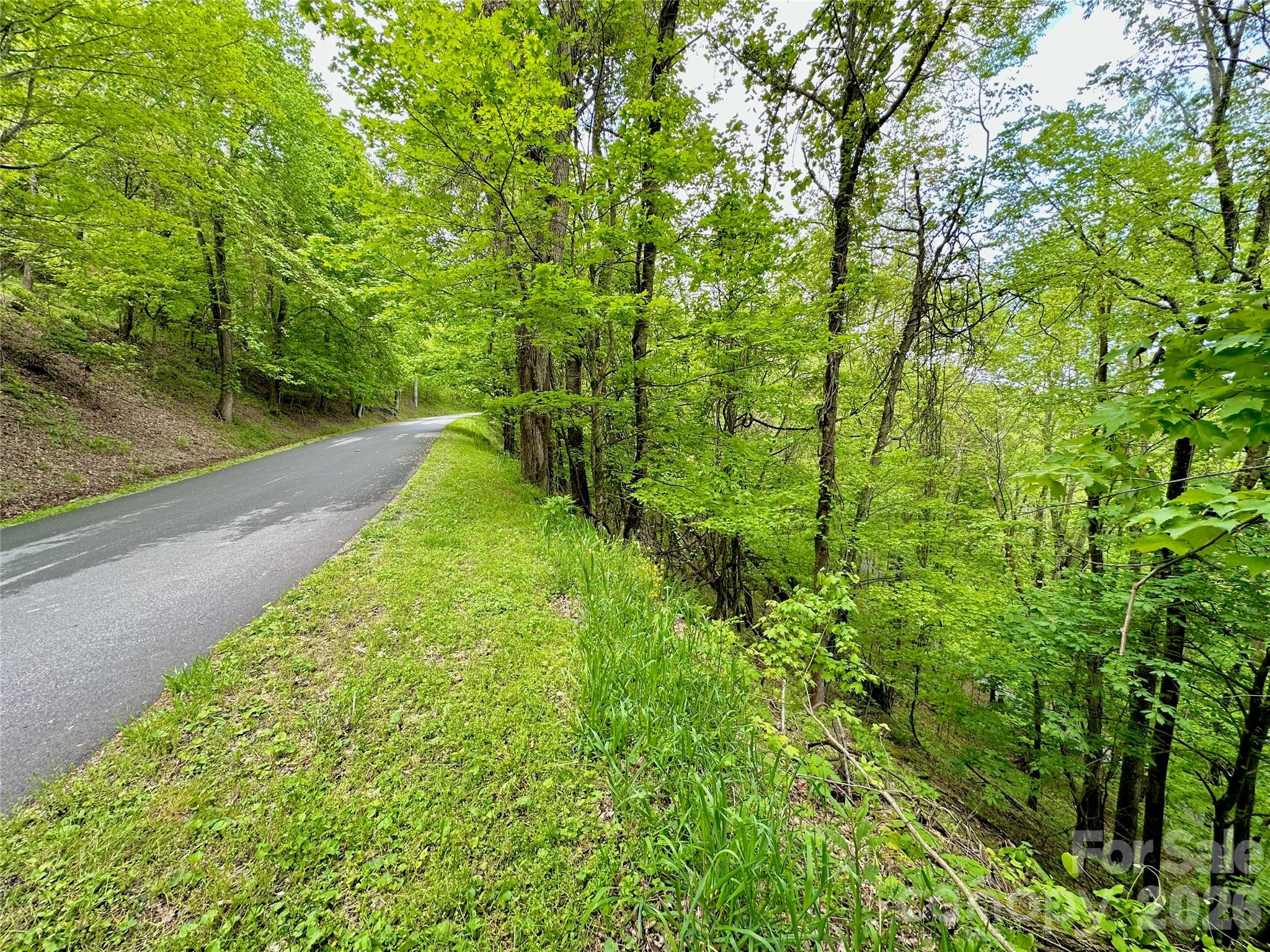 Tbd Alpine Drive 33 Property Photo 7