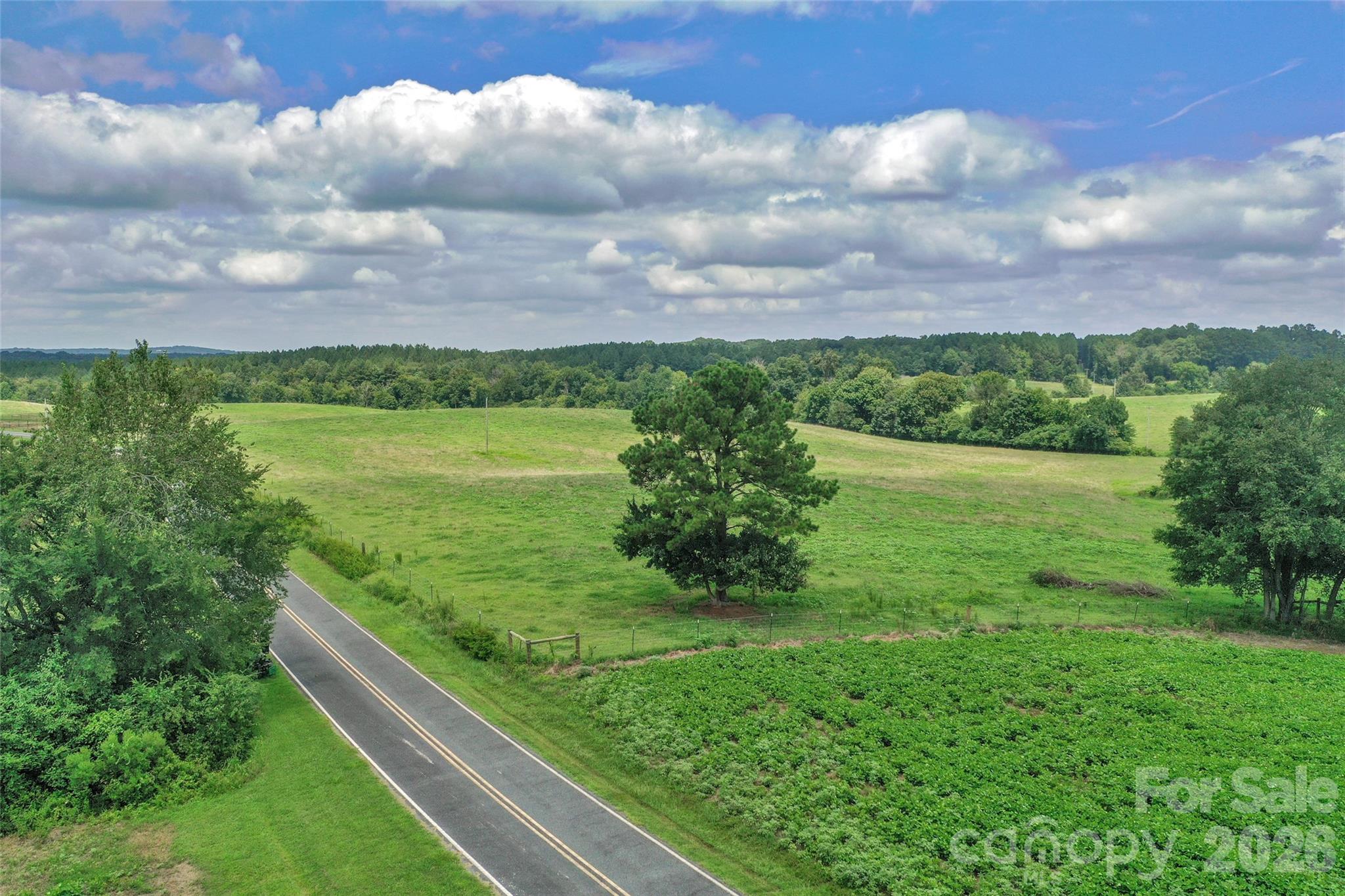 0000 Lucy Short Cut Road G