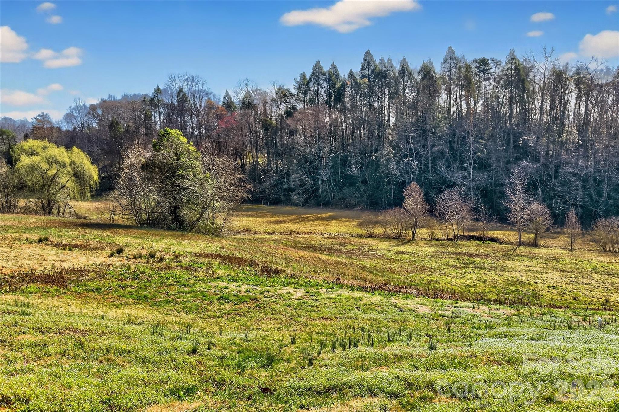 4259 Us 70 Road Property Photo 41