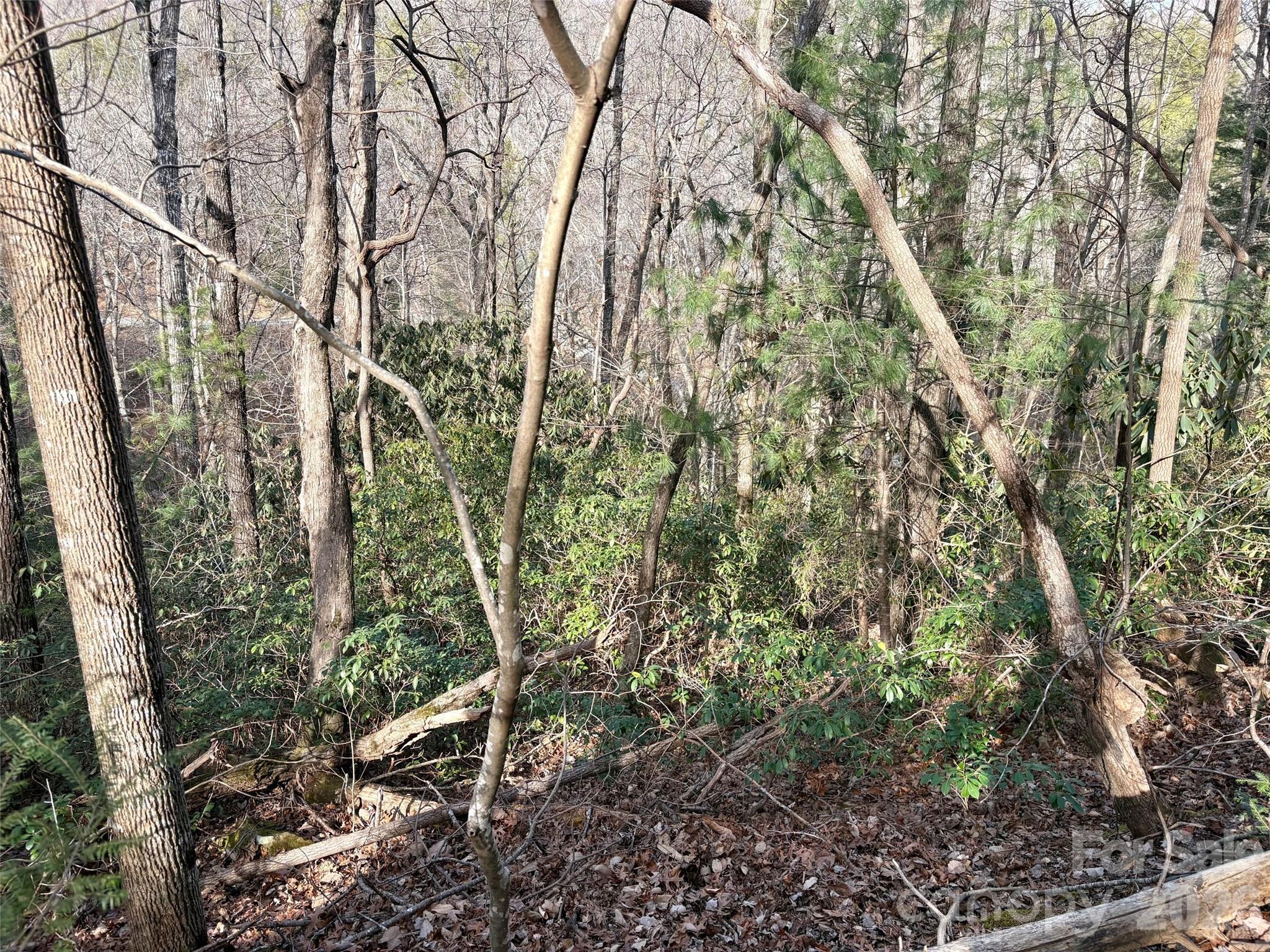 0 Falls View Trail Lot 52 Property Photo 3