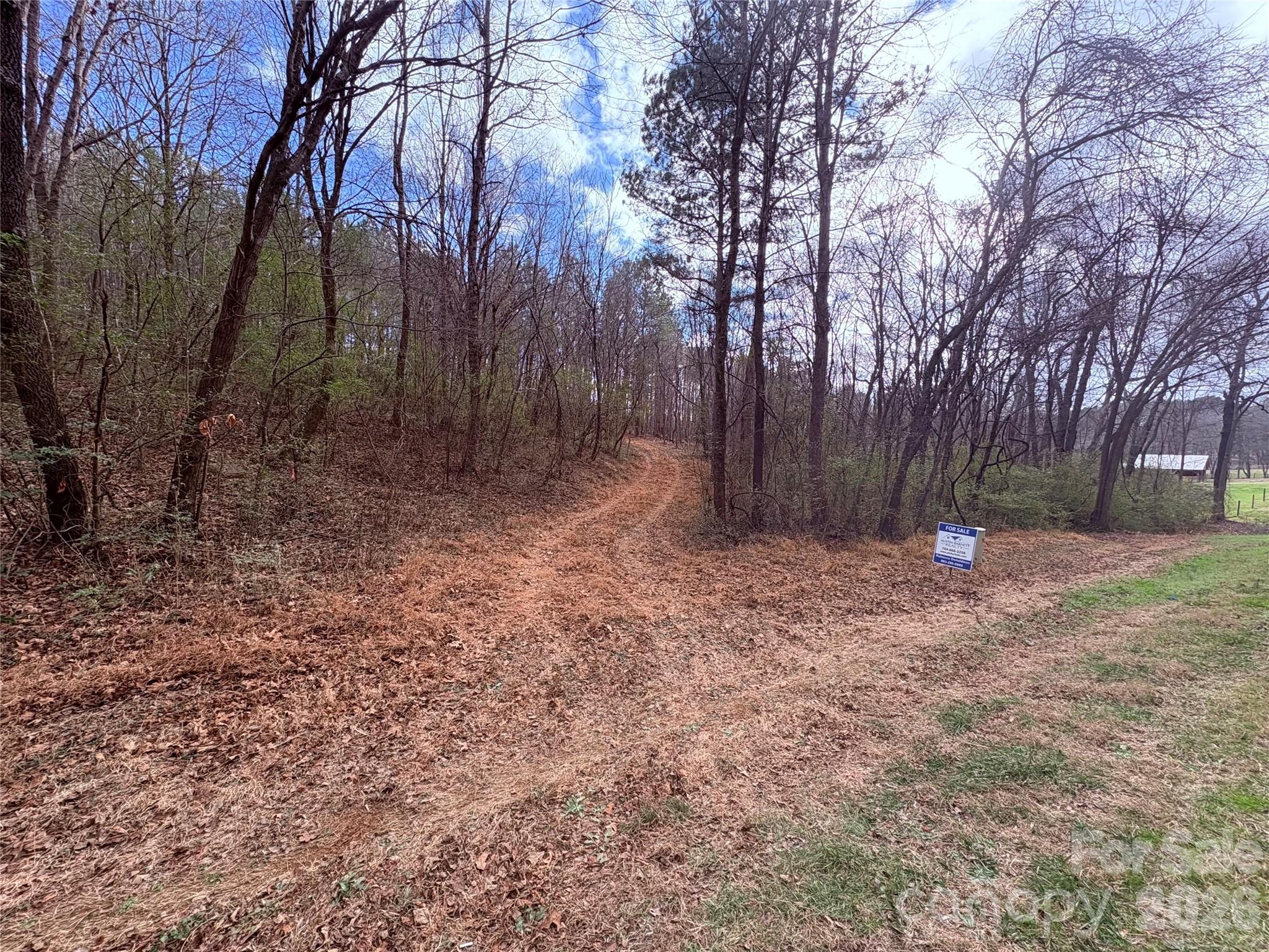 000 Vacant Nc 138 Highway Property Photo 1