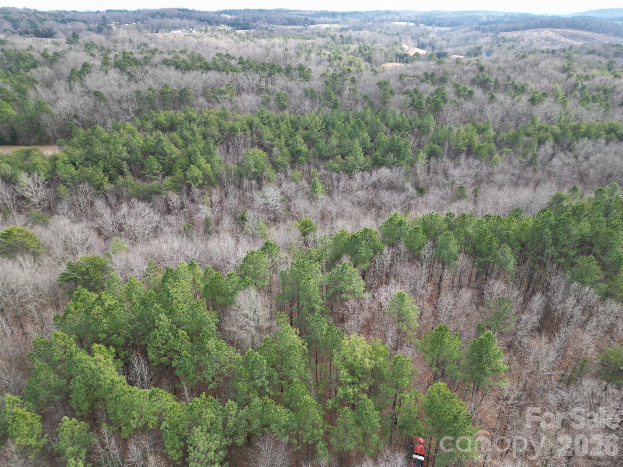 000 Vacant Nc 138 Highway Property Photo 3