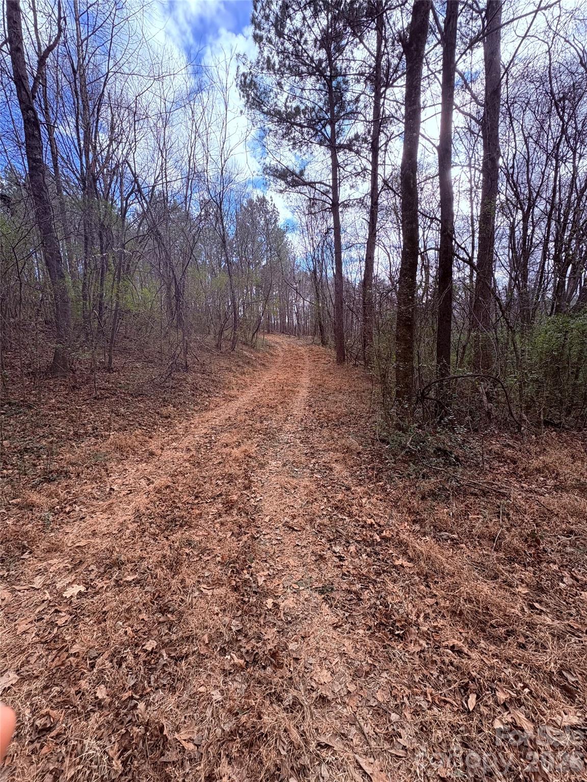000 Vacant Nc 138 Highway Property Photo 5