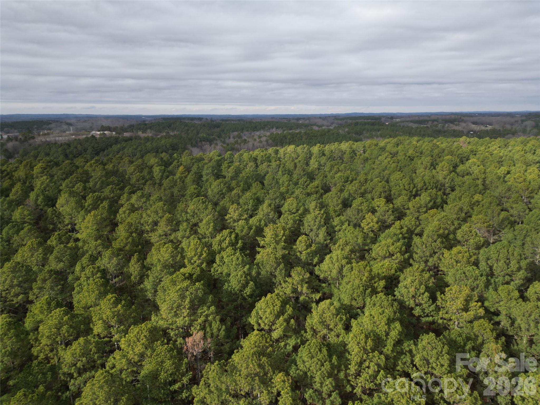 000 Vacant Nc 138 Highway Property Photo 9