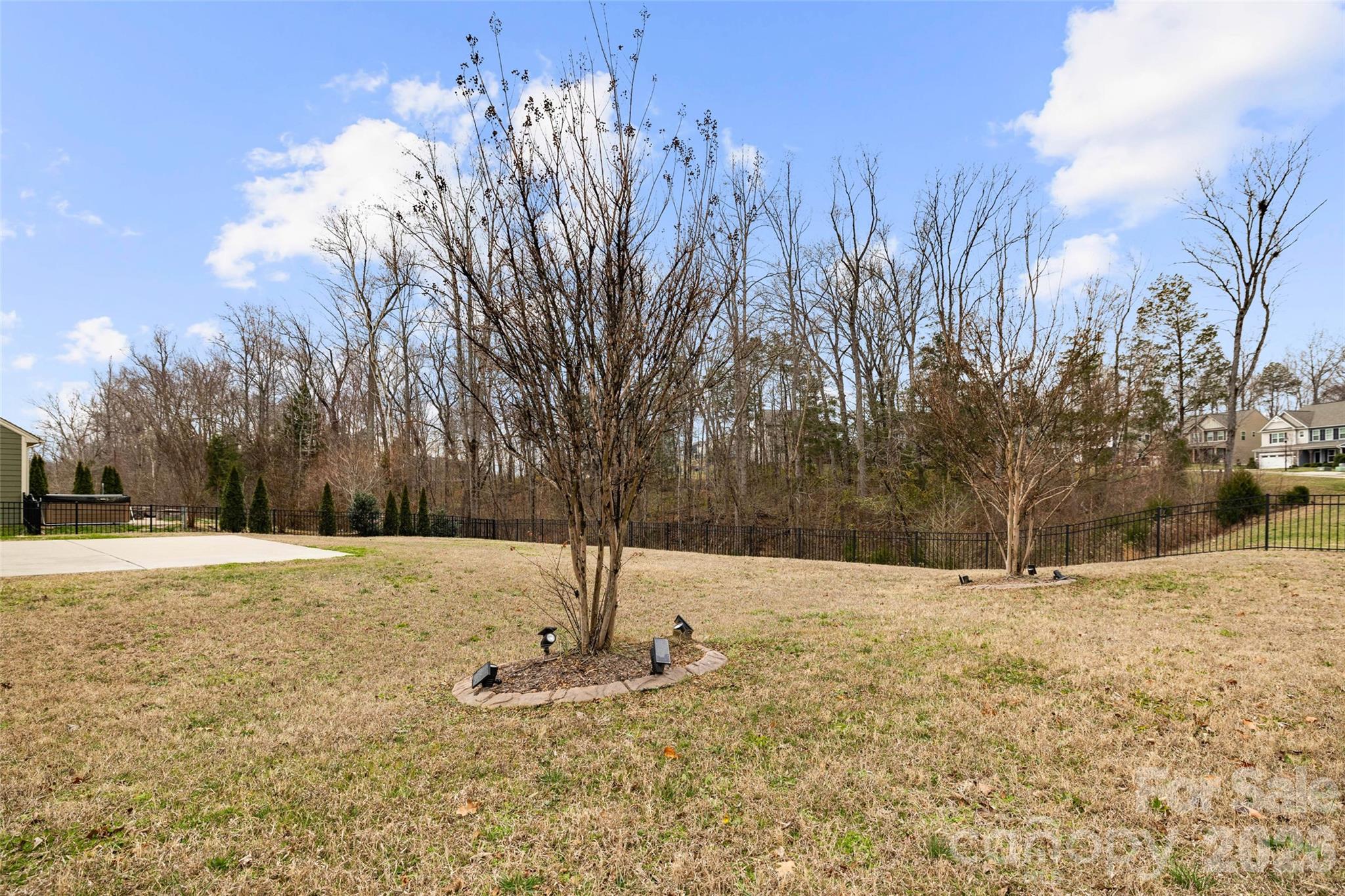 1153 Burning Embers Lane Property Photo 39