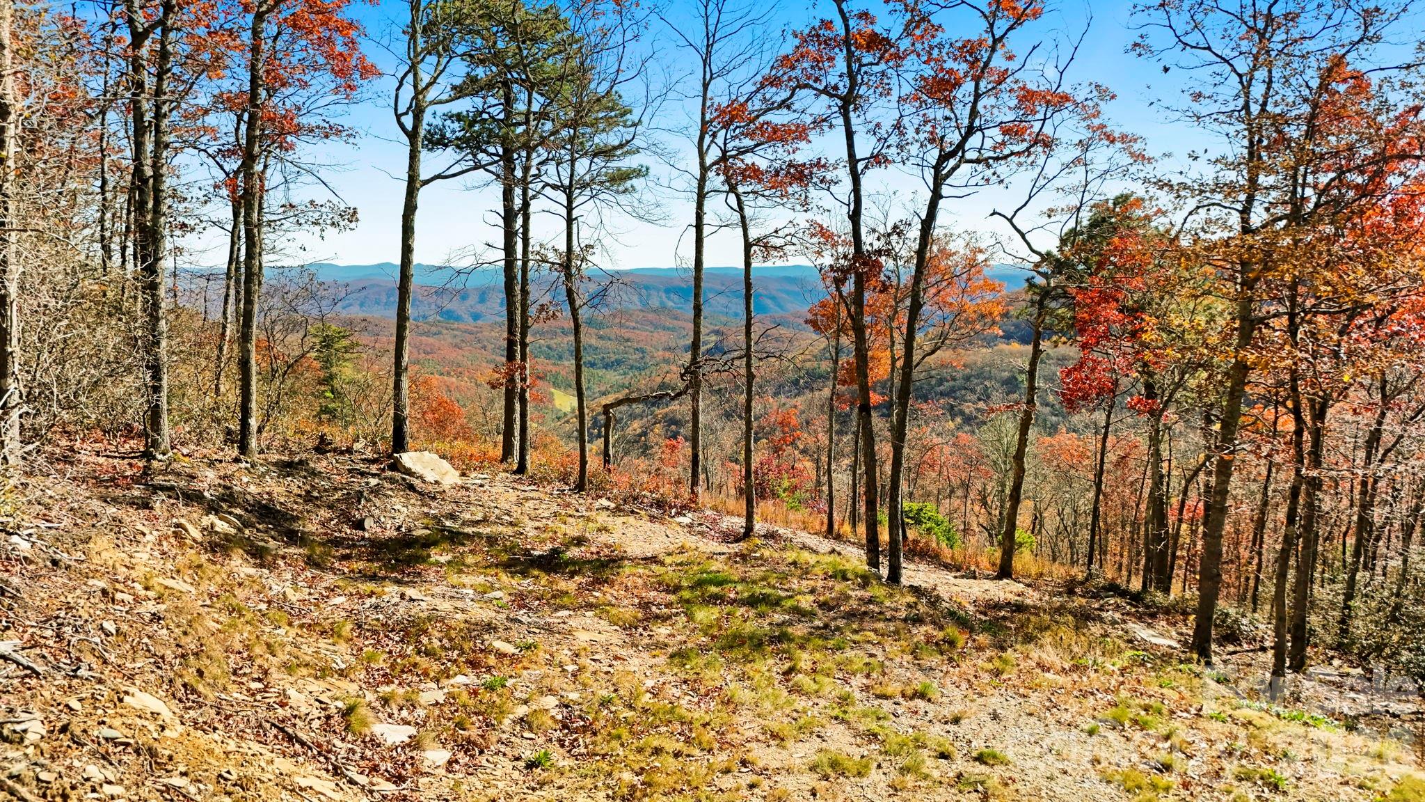 Lot 23 Bluebell Trail Property Photo 1
