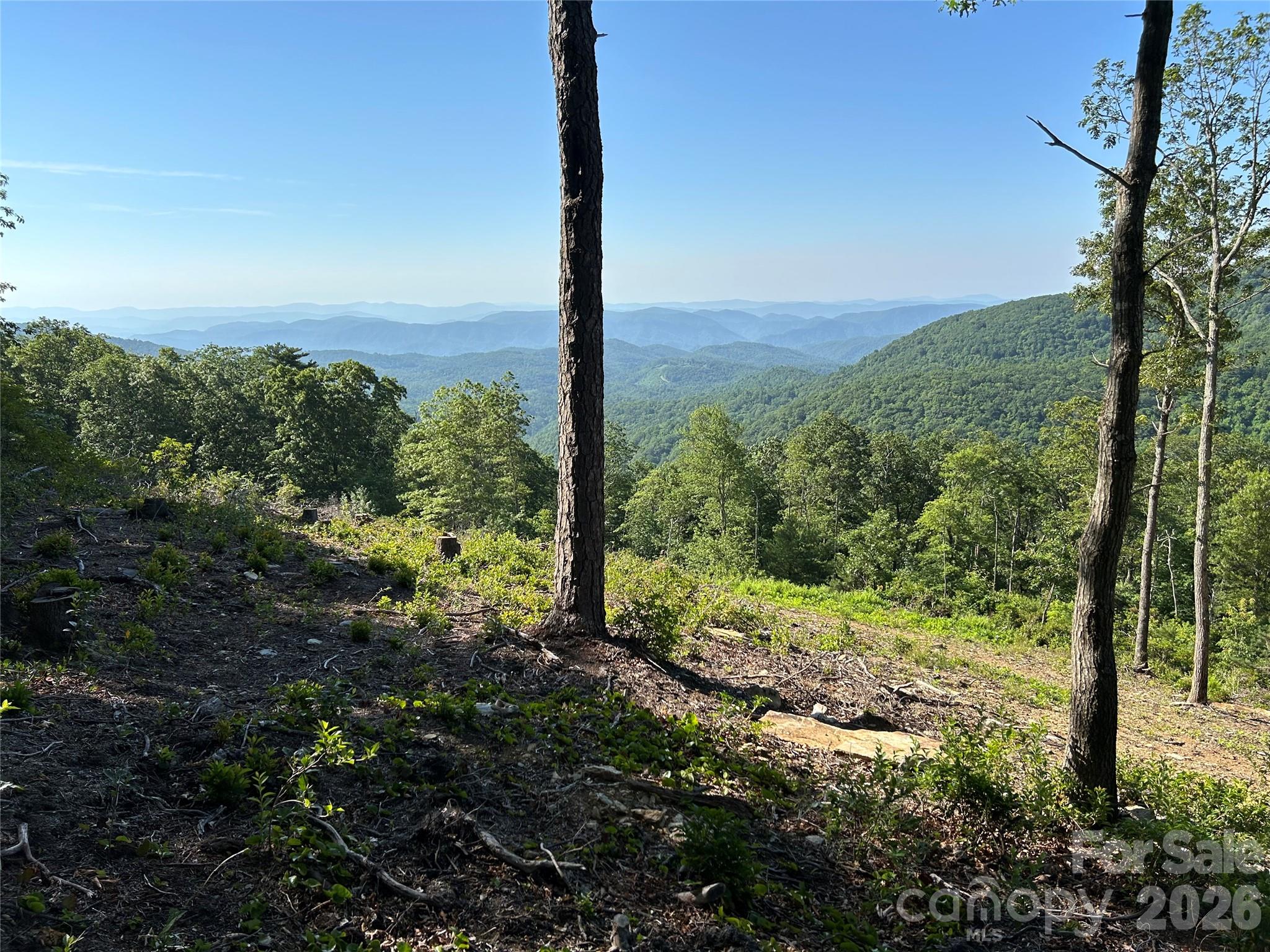 Lot 23 Bluebell Trail Property Photo 4
