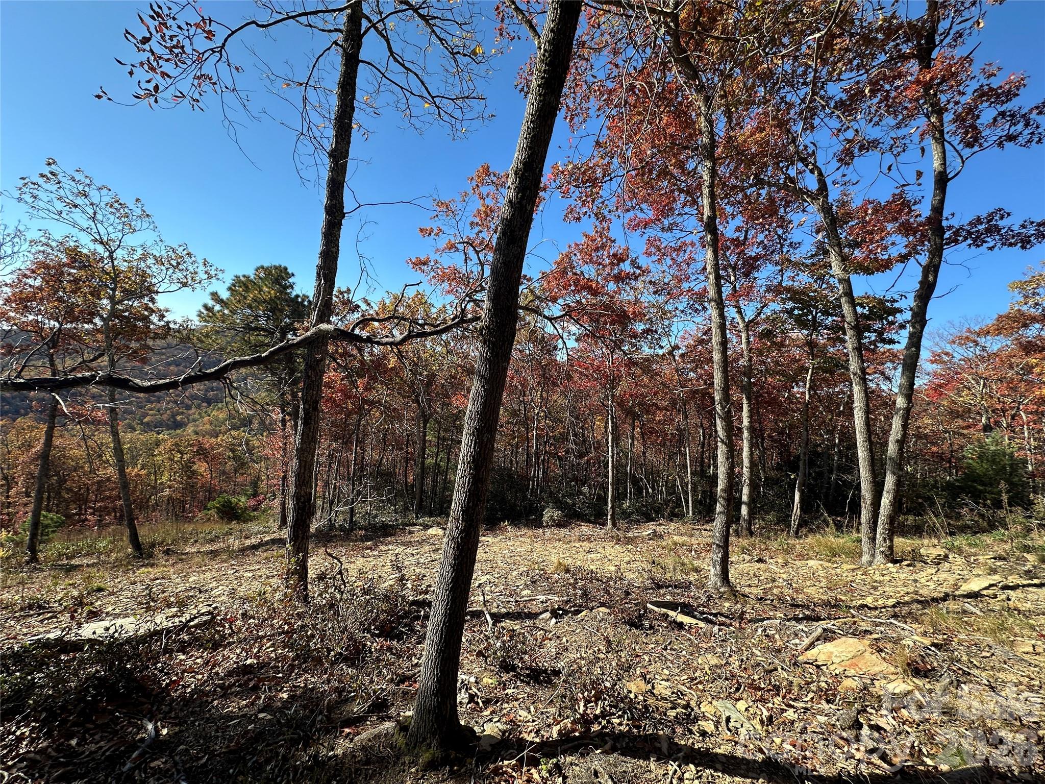 Lot 23 Bluebell Trail Property Photo 27