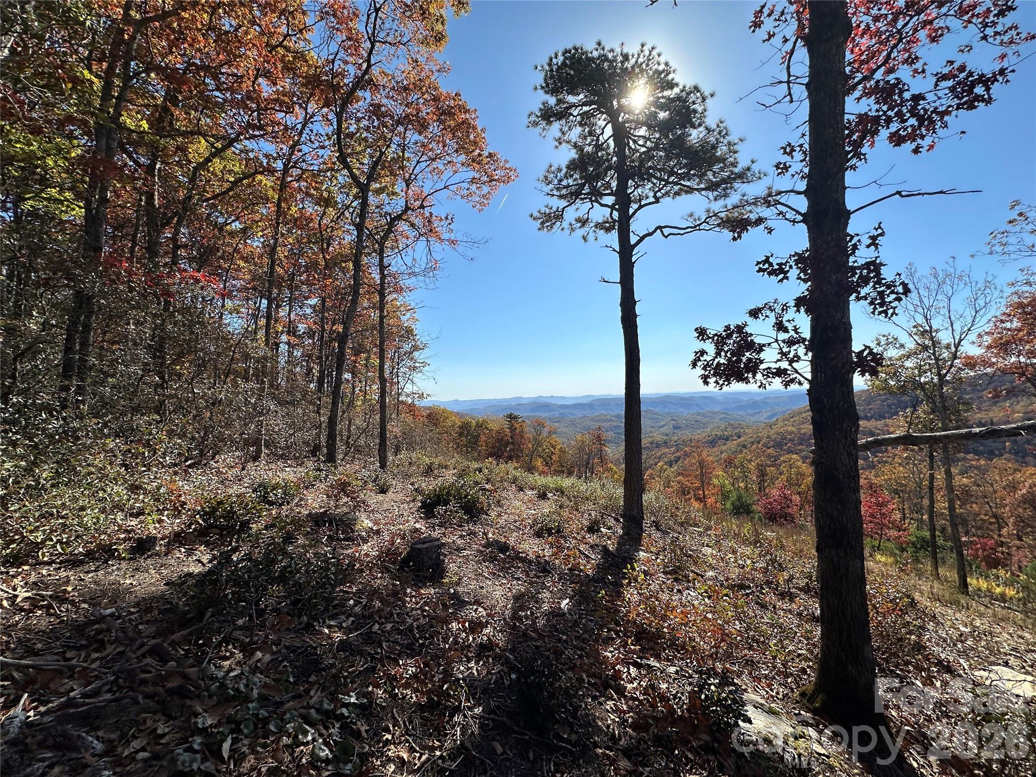 Lot 23 Bluebell Trail Property Photo 28