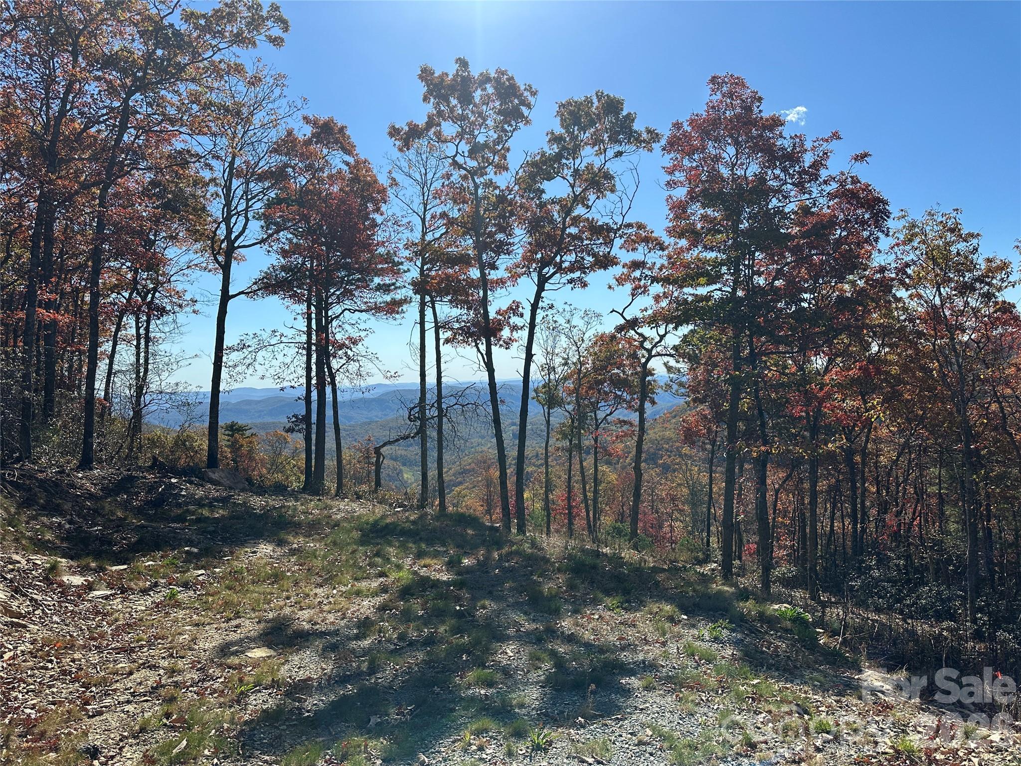 Lot 23 Bluebell Trail Property Photo 29