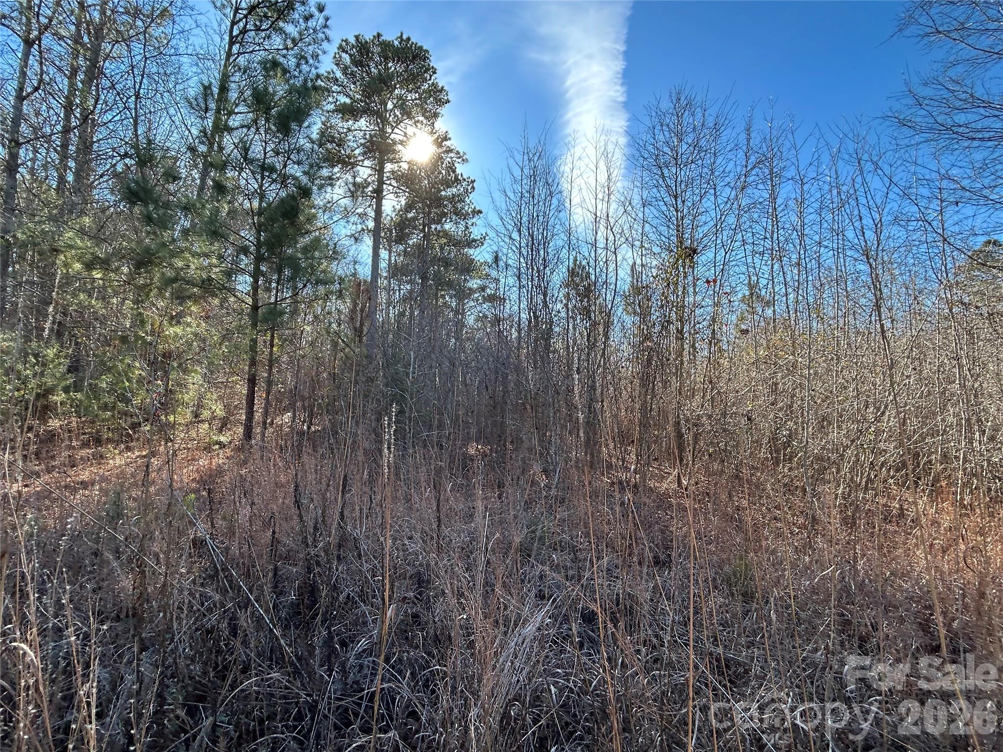 38 Ac Mountain Gap Road Property Photo 4