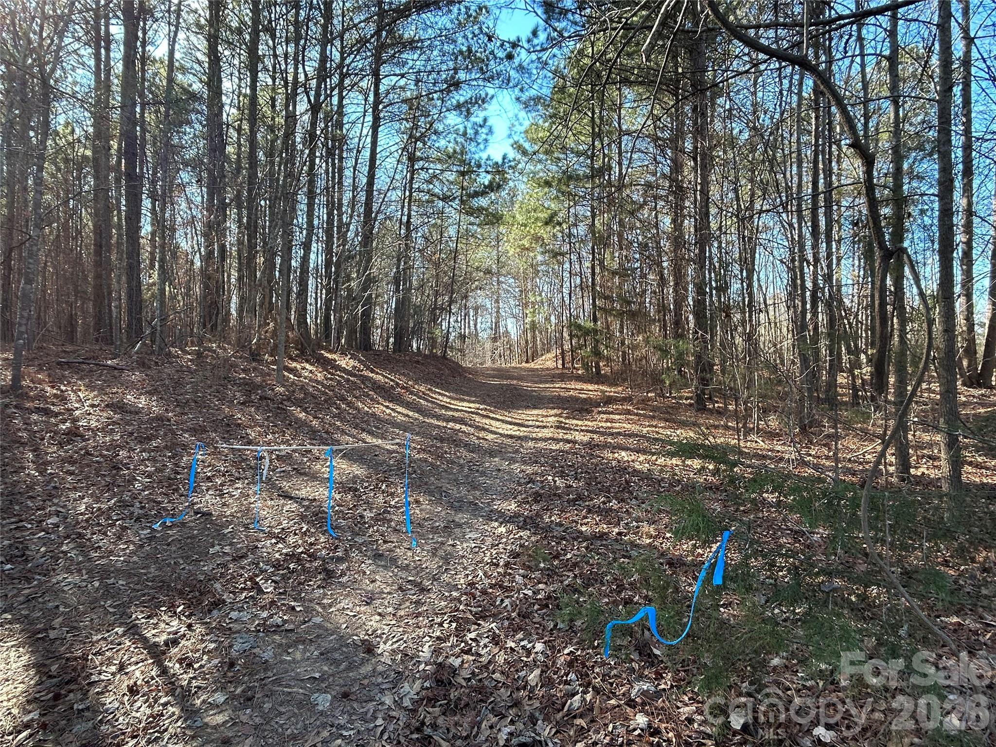 38 Ac Mountain Gap Road Property Photo 5