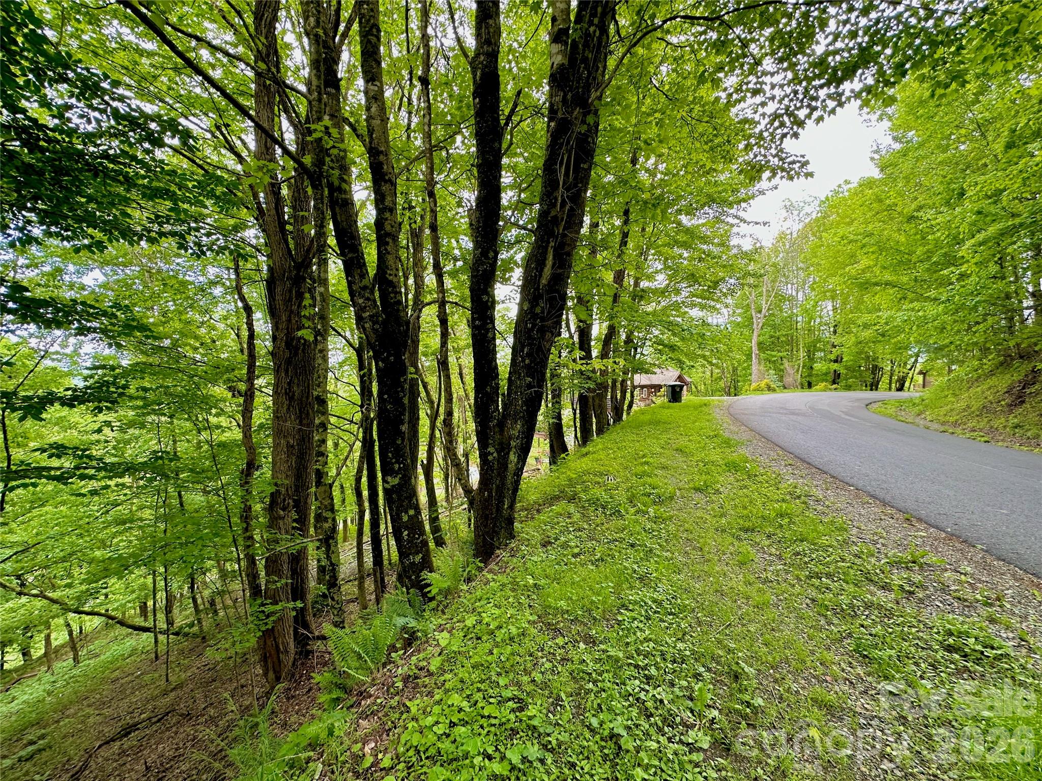 Tbd Alpine Drive 21-22 Property Photo 12
