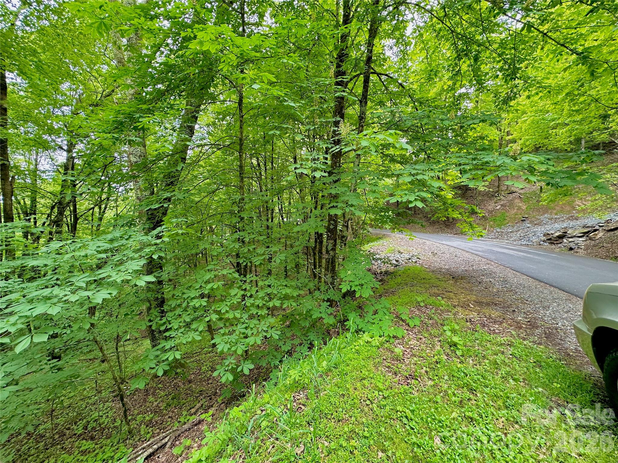 Tbd Alpine Drive 21-22 Property Photo 15