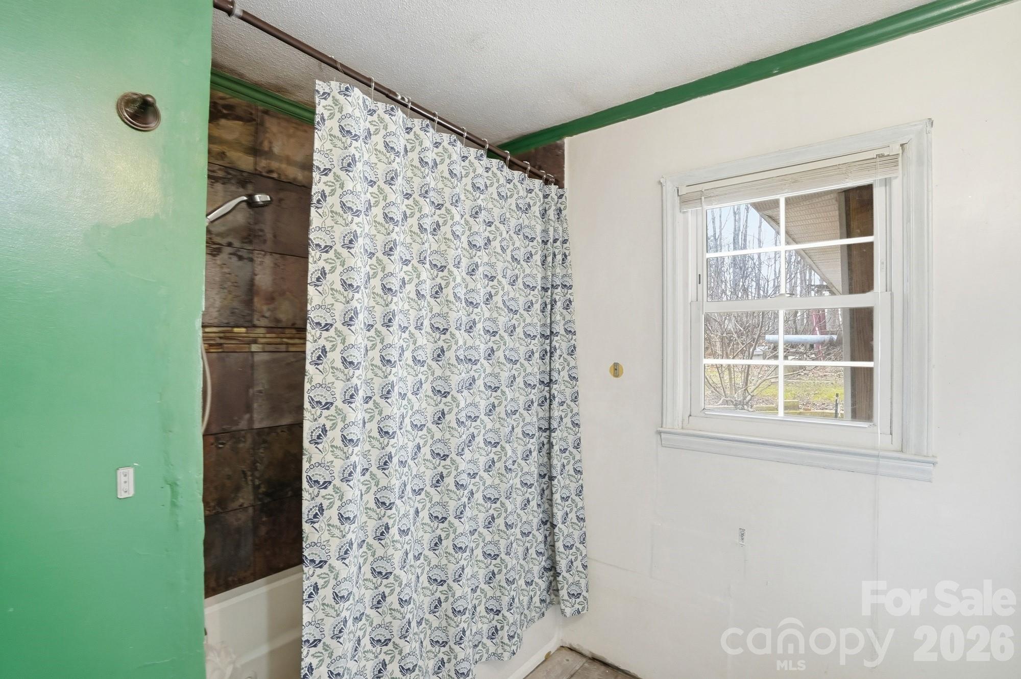 488 Miners Road Property Photo 36