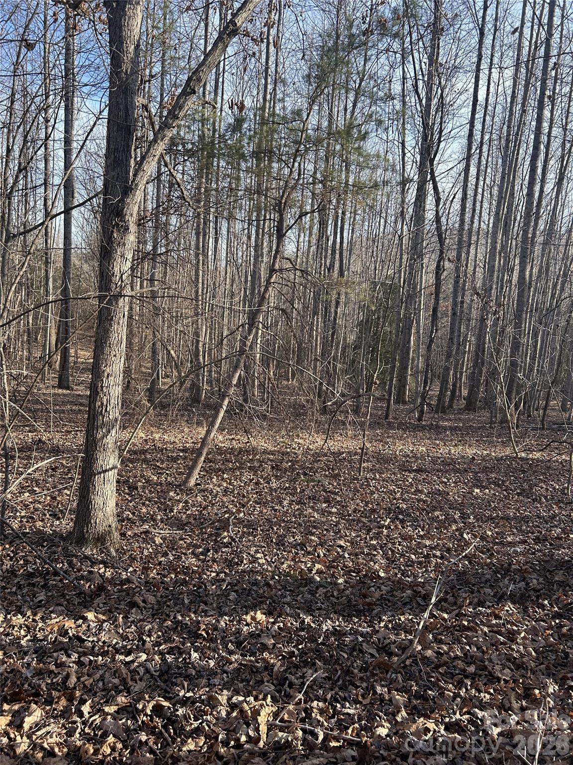 Lot 24 Double Eagle Drive 24 Property Photo 17