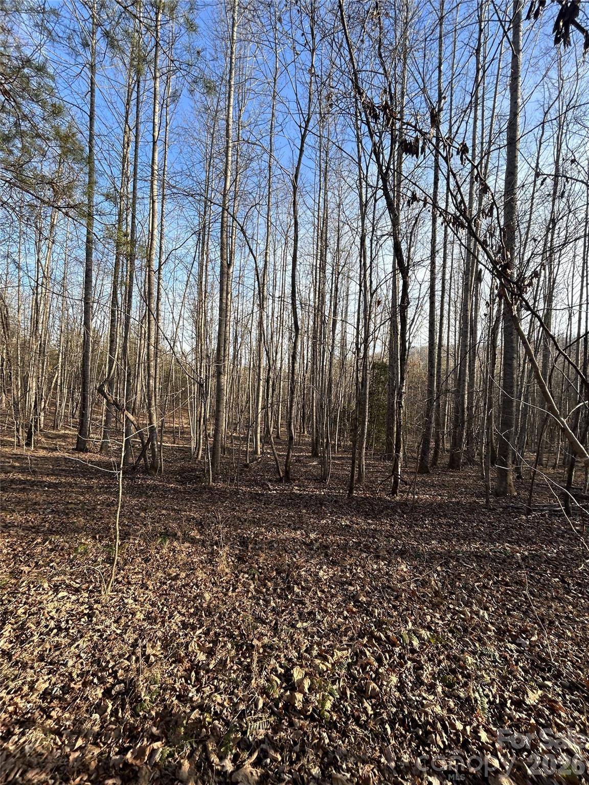 Lot 24 Double Eagle Drive 24 Property Photo 19