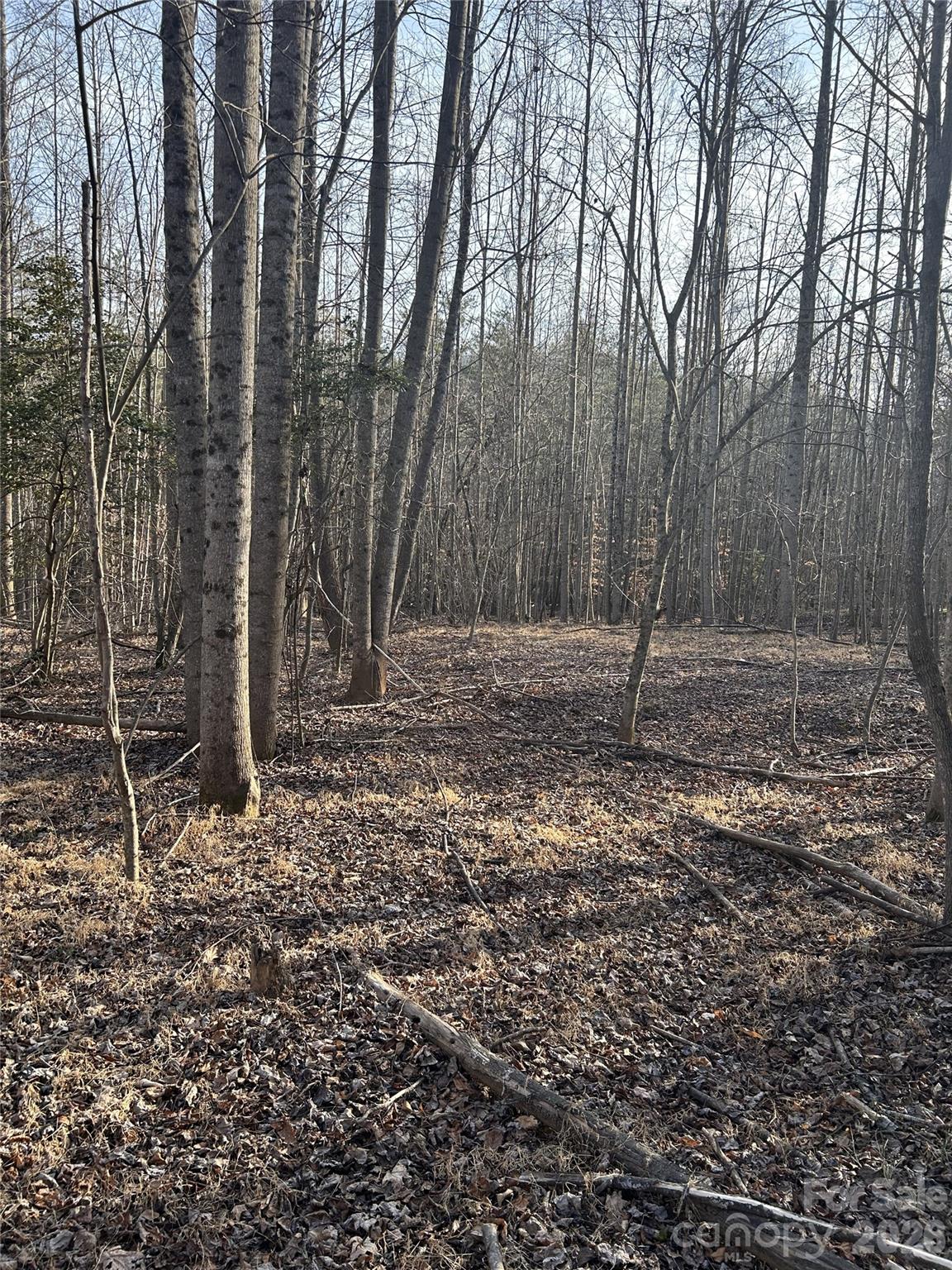 Lot 24 Double Eagle Drive 24 Property Photo 20