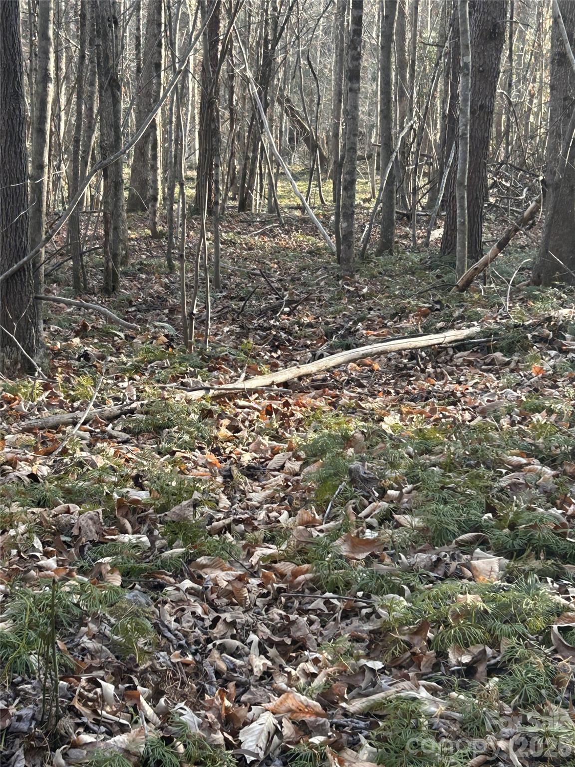 Lot 24 Double Eagle Drive 24 Property Photo 21