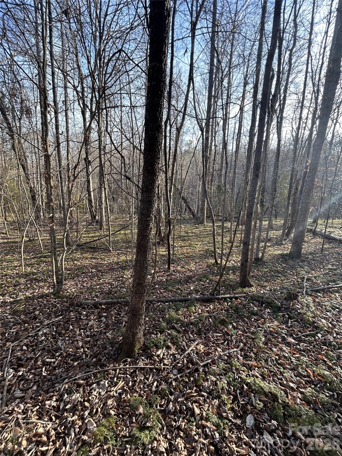Lot 24 Double Eagle Drive 24 Property Photo 22