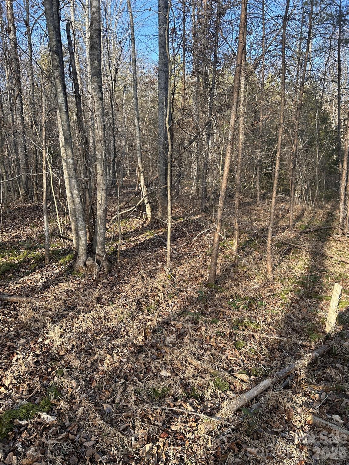 Lot 24 Double Eagle Drive 24 Property Photo 26